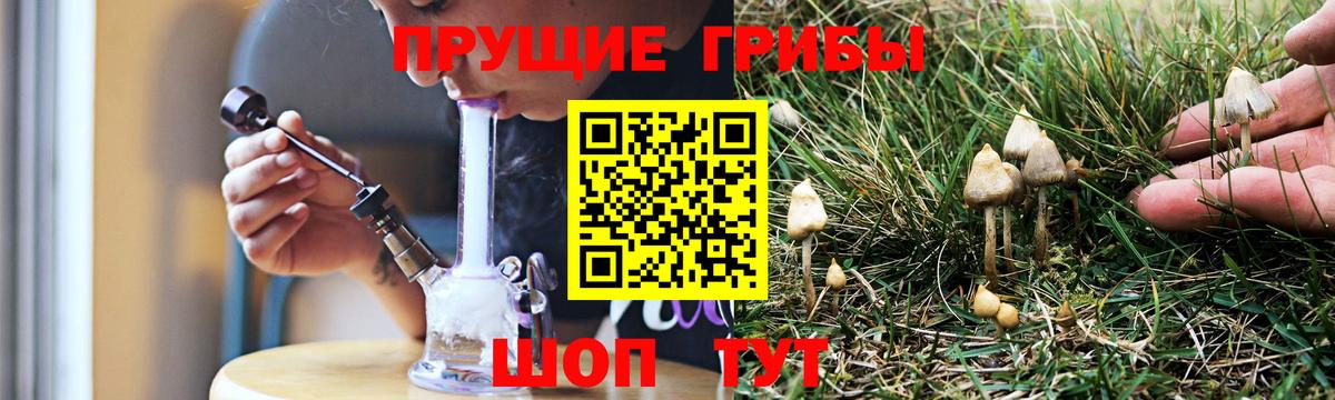 Галлюциногенные грибы прущие грибы Дмитров
